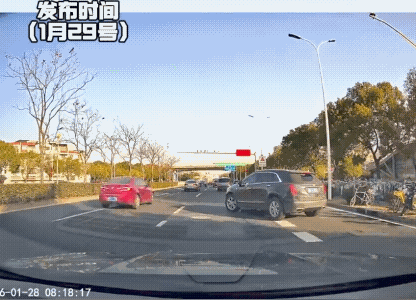 黑车司机不知是走神了，还是车技不行，不到三秒的时间，硬生生的把两辆大车逼停。
两