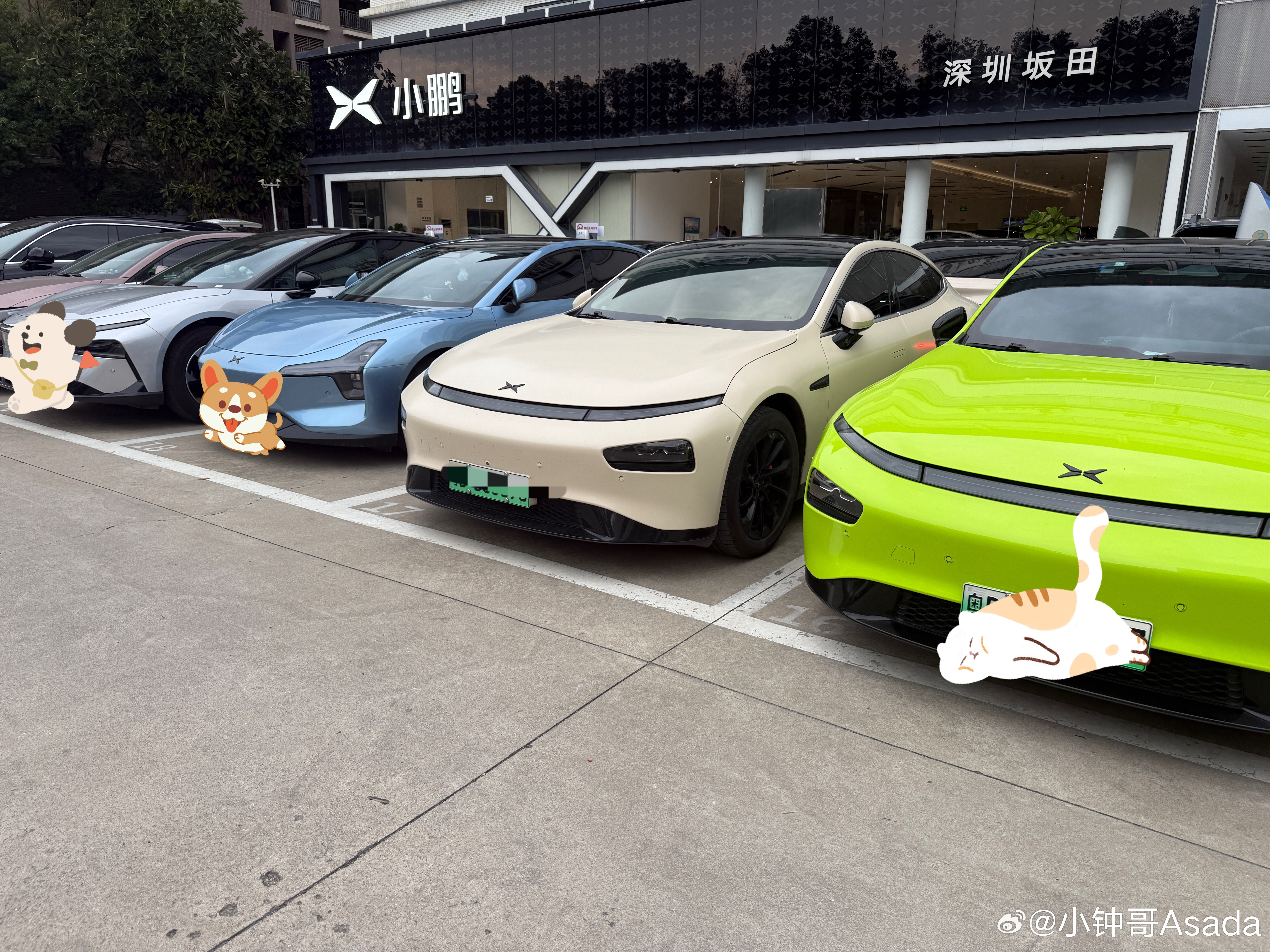 感谢我的小 P，陪伴我 5 年，希望以后你可以好好的退休[抱抱]新能源汽车小鹏汽