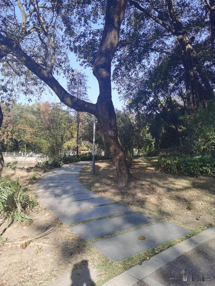 说“私心可以激发什么积极性”，这种“以私引利”的看法，其实是片面的。

“用激励