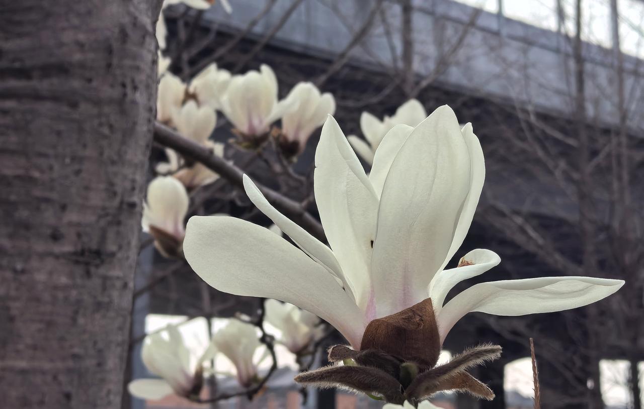 【热评】莫让“粉底液”消解阳刚风骨
钧正平：粉底液将军消解阳刚精神

钧正平评“