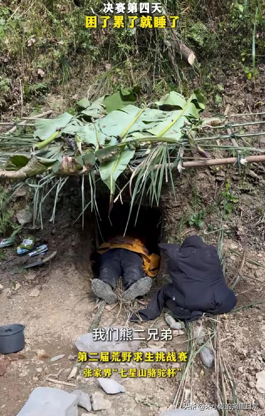 荒野求生熊二开荒了两亩地!
 
张家界“七星山骆驼杯”的现场：参赛的“熊二兄弟”