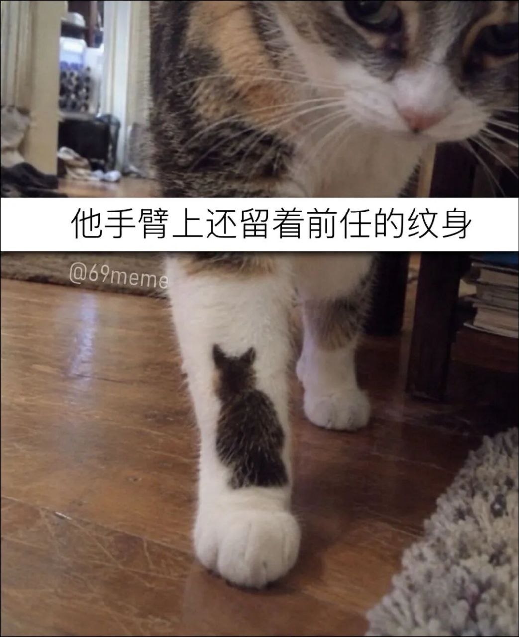 哈哈 ​​​