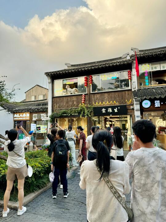 苏州这个地方还是太复杂了。。。