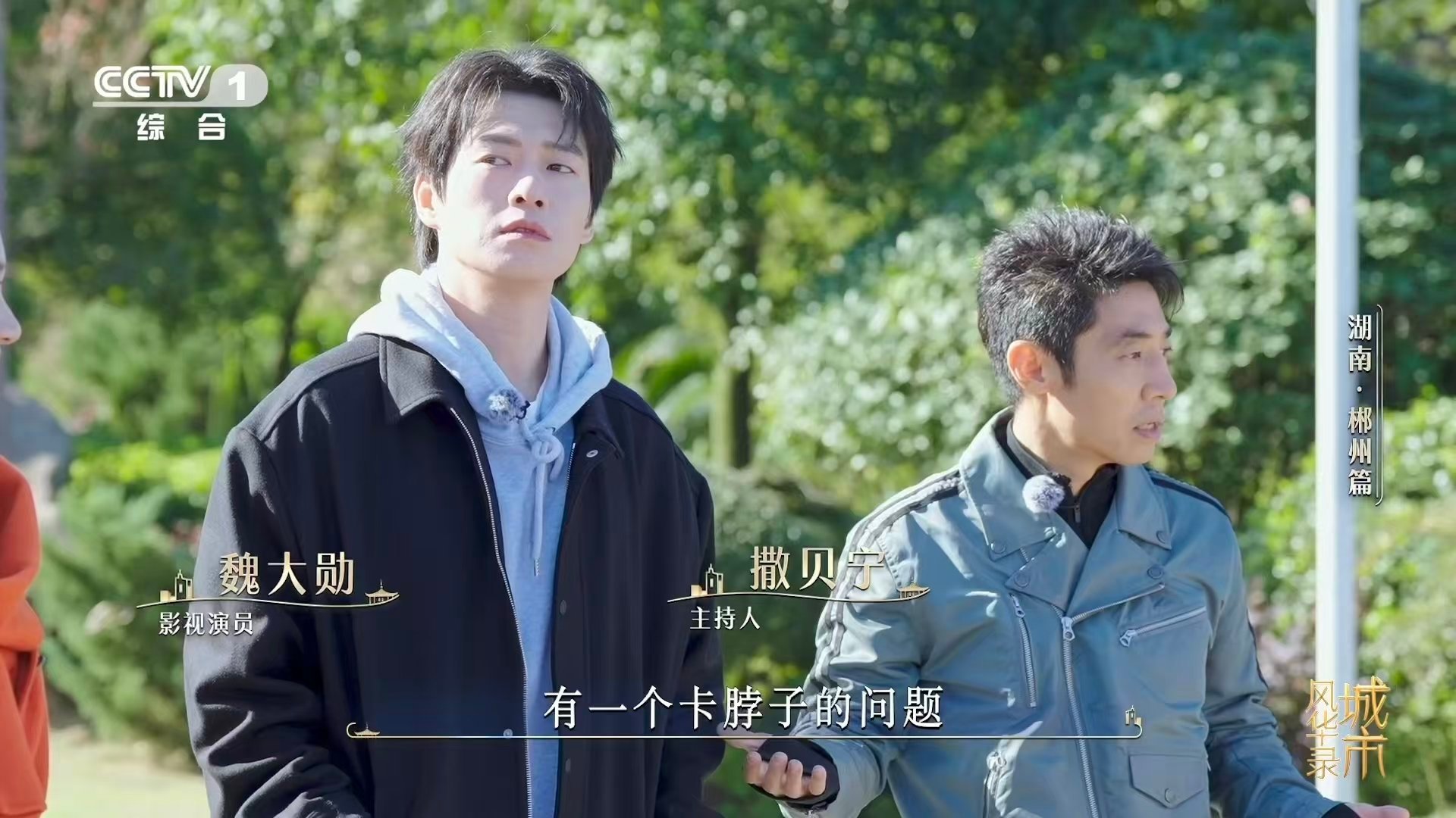 一铲子下去就是半个元素周期表湖南郴州有SSS级金属矿 郴州是真·矿产大佬！钨铋储