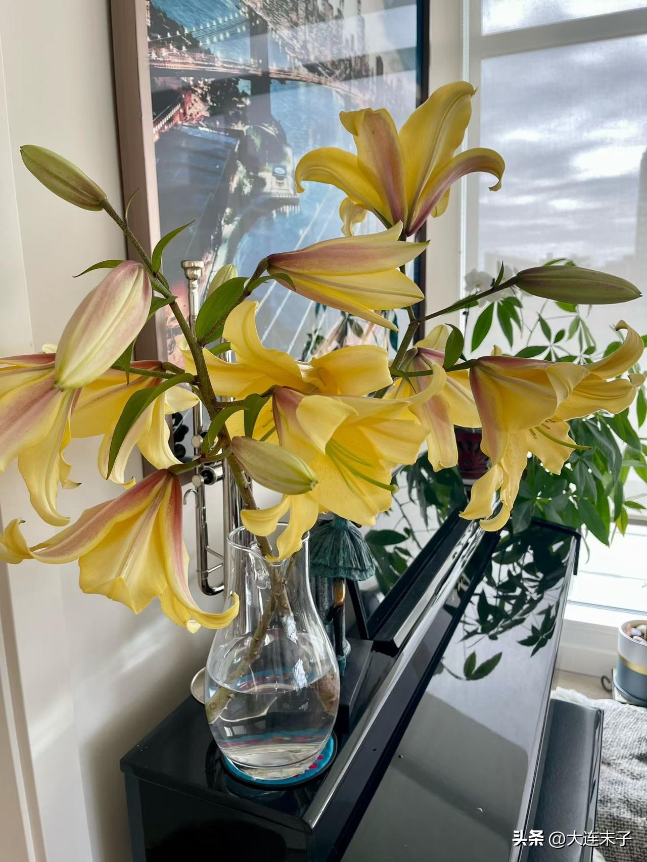 我的今日状态：💪🏻充满干劲
我这里的天气：☀️晴天

今天 7 月26日周日
