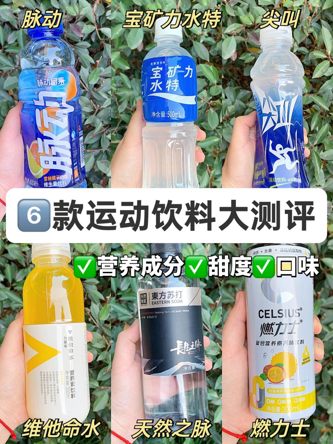 🔥进来抄作业！6️⃣款常见运动饮料测评✅
