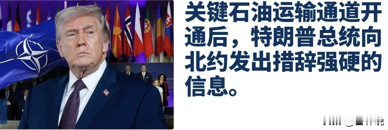 特朗普警告北约舰队：离远点，纸老虎

在霍尔木兹海峡重新开放后，美国总统唐纳德·