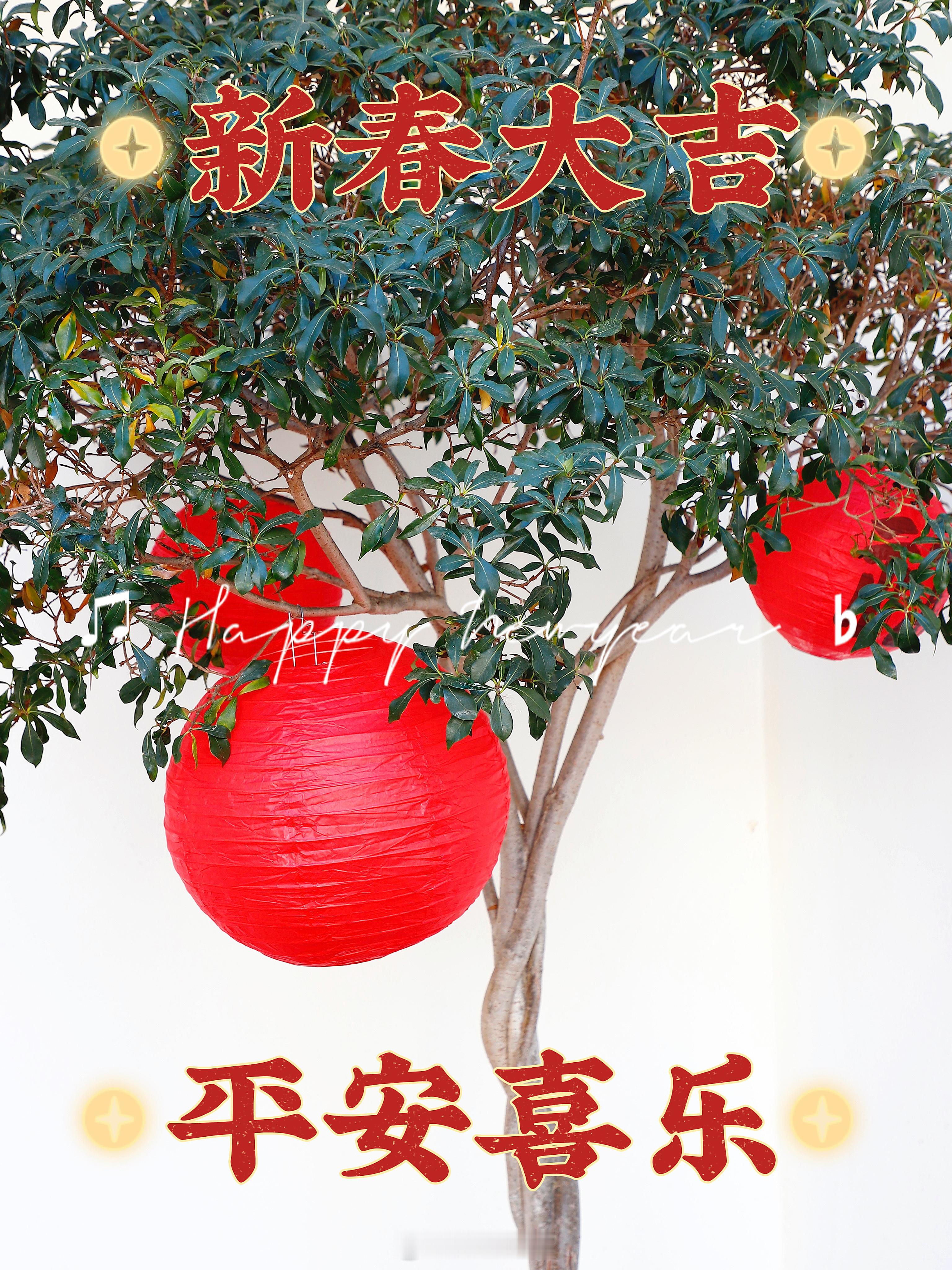 🧨𝙃𝙖𝙥𝙥𝙮 𝙉𝙚𝙬 𝙔𝙚𝙖𝙧🎆新年快乐！万事如意！