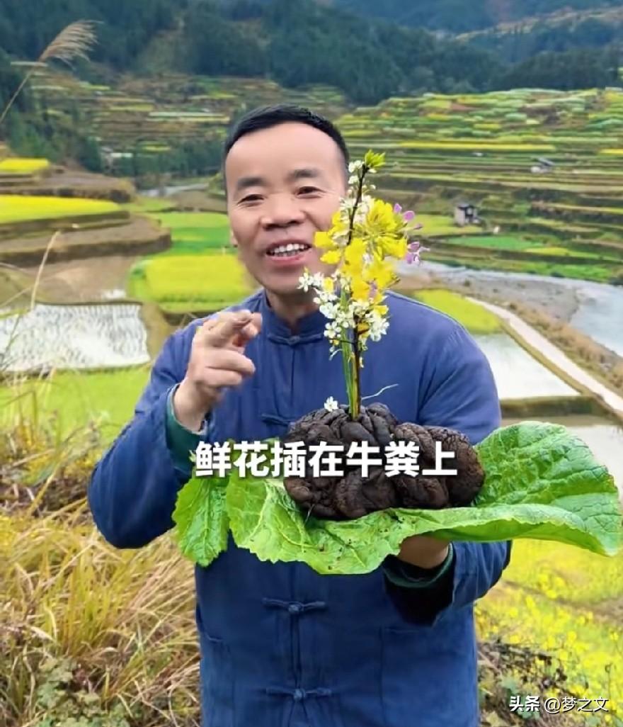 牛哥说一朵鲜花插在了牛粪上，媳妇那么优秀却选择了大山里放牛的牛哥，年龄又大又丑，