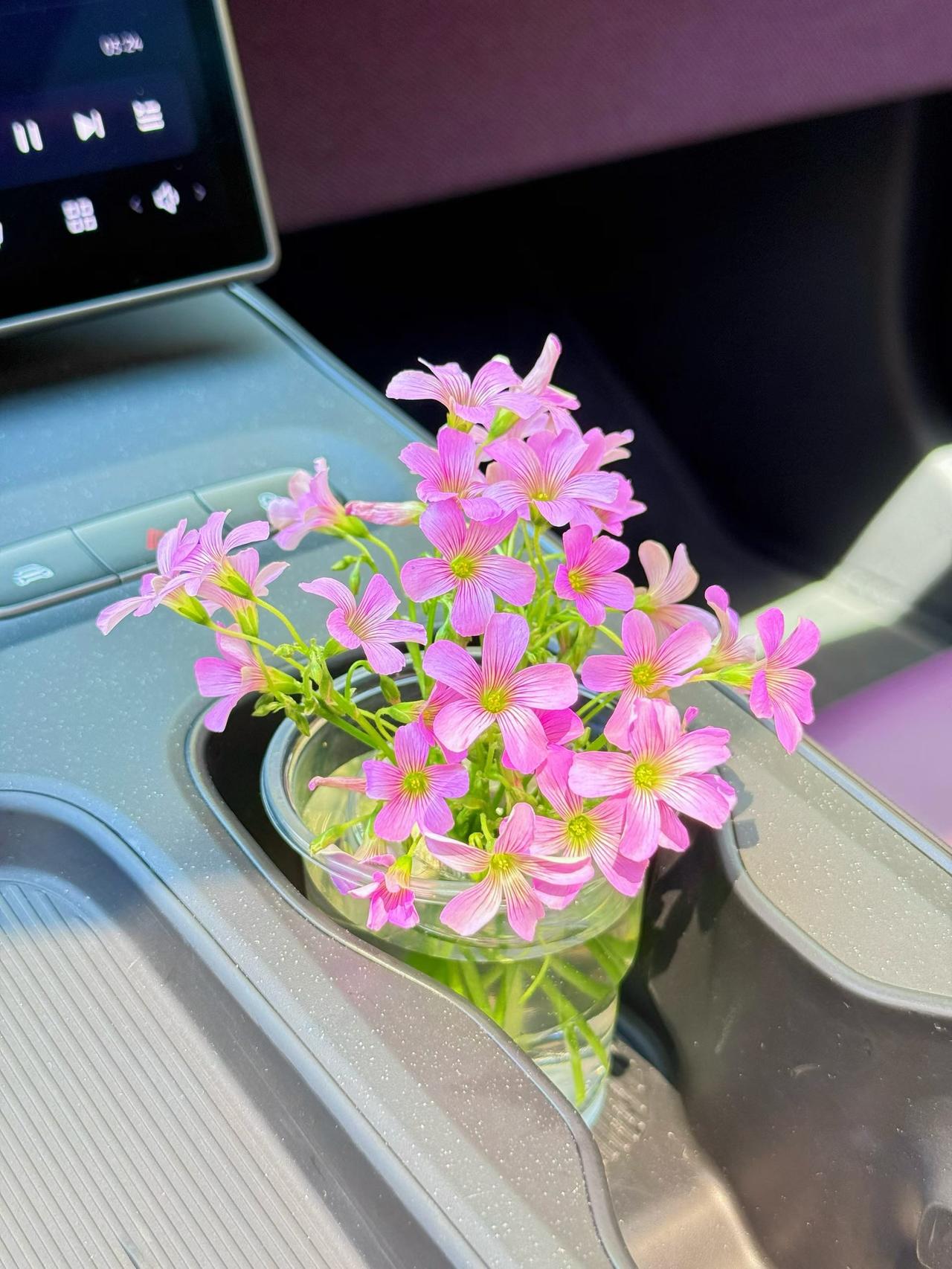 有句话，我越琢磨越觉得对。择偶，是人生最重要的投资，没有之一。比职业重要，比财富