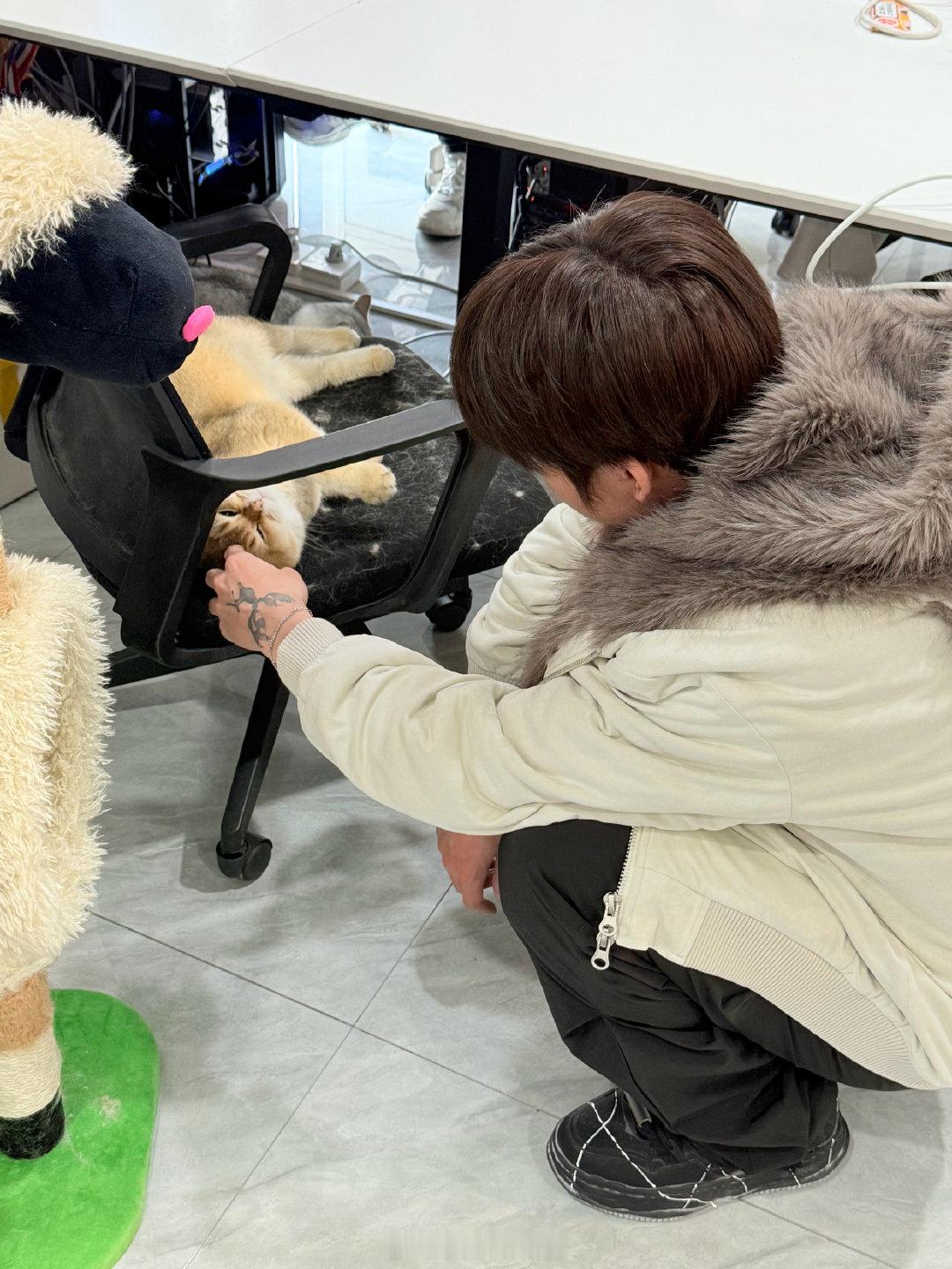 好一个猫毛椅，强迫症开始浑身发抖了竞浪大会 2025pel