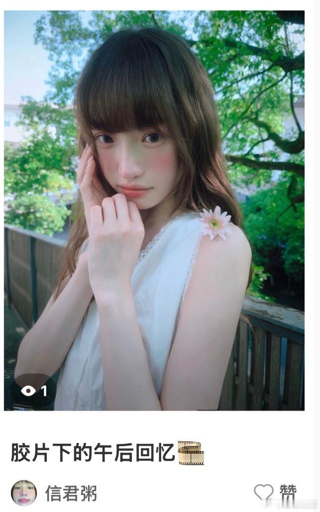 🌼🌸6️⃣个bb 