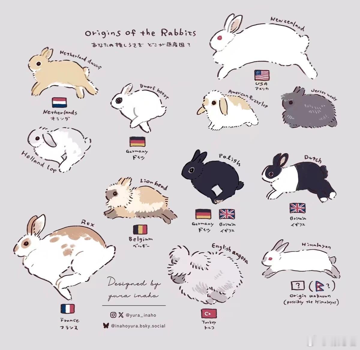 这个好可爱 ​​​
