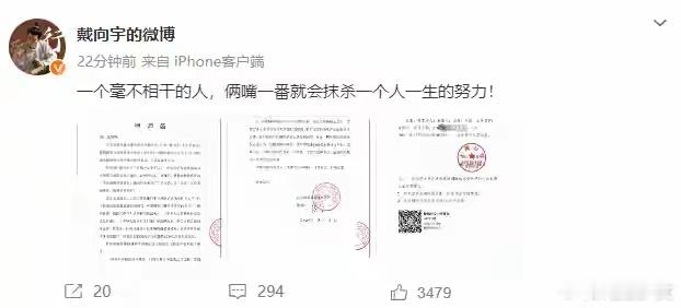 #戴向宇发律师函#戴向宇晒出了无犯罪记录证明，并发律师函给张昊唯，要求张昊唯道歉