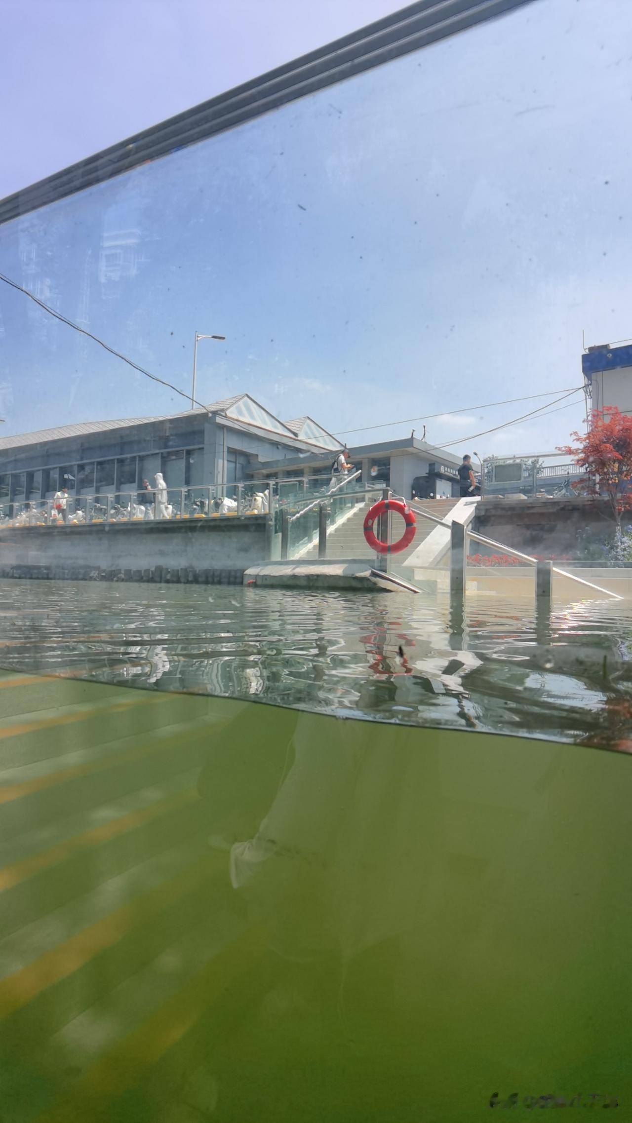 北京地铁积水潭站A口出来有惊喜，
护城河变身水族箱大鱼缸！
之前总去的潭西胜境，