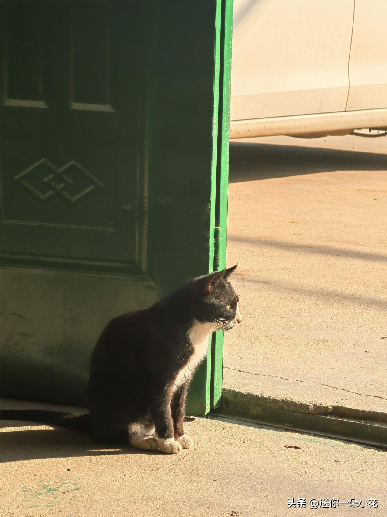 很想问一下，2月份打了一针乙肝疫苗，加强的那种，护士说最好是3个月以后再考虑要小