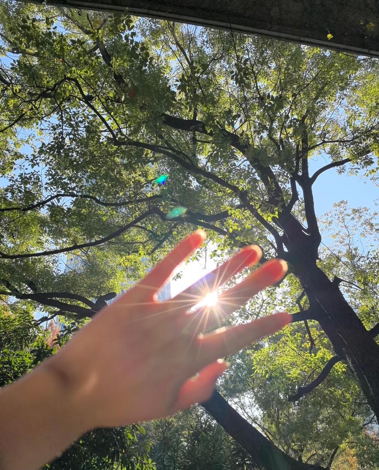 日出，是免费的，
快乐，是免费的，
春夏秋冬也是。
 
可偏偏好多人总盯着要花钱