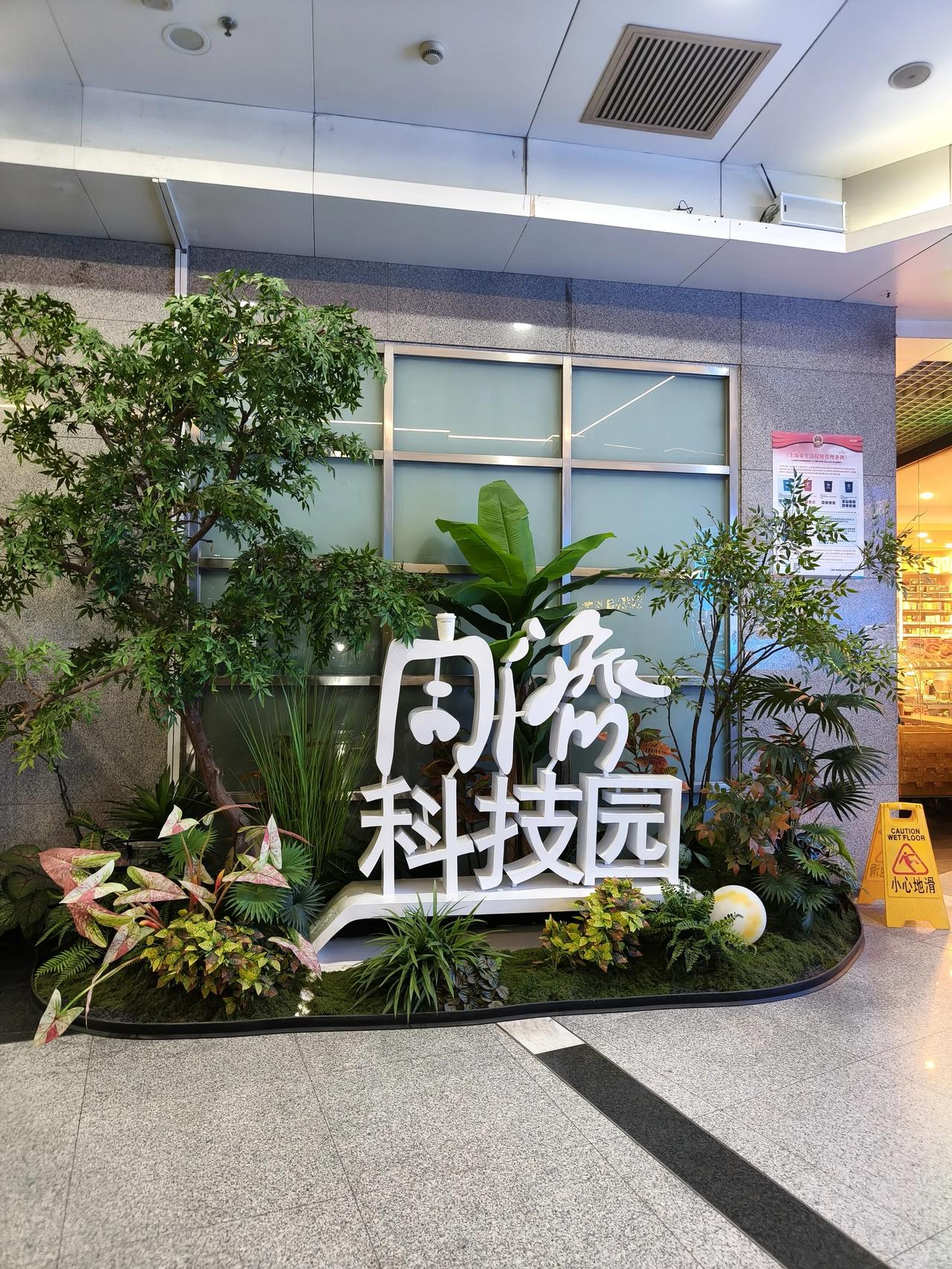 带着岁末的暖意，去向更值得的未来。

冬日美景随手拍～下班路上