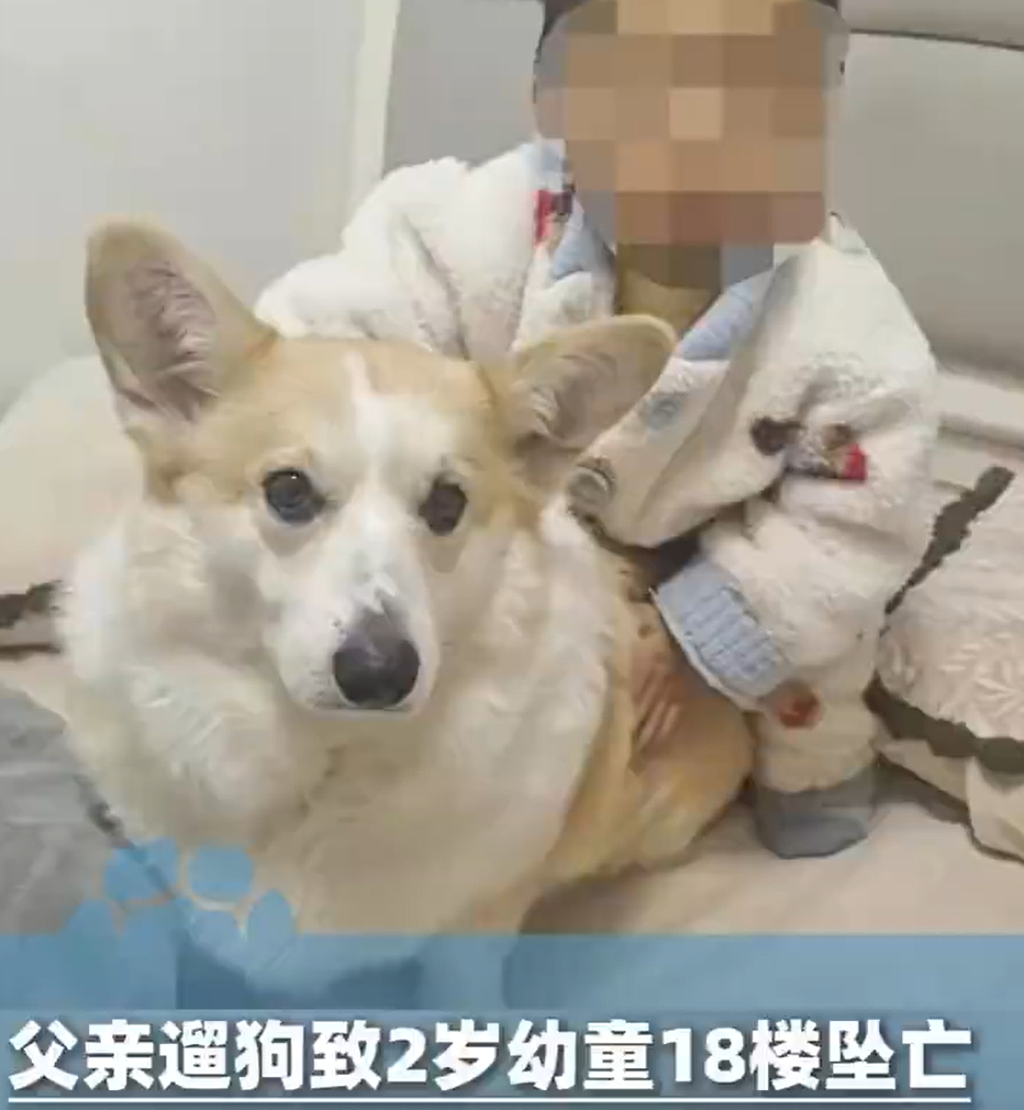 警方受理2岁幼童18楼坠亡案 当爹的都知道，看着自家孩子还是小毛头时候，那种粉团