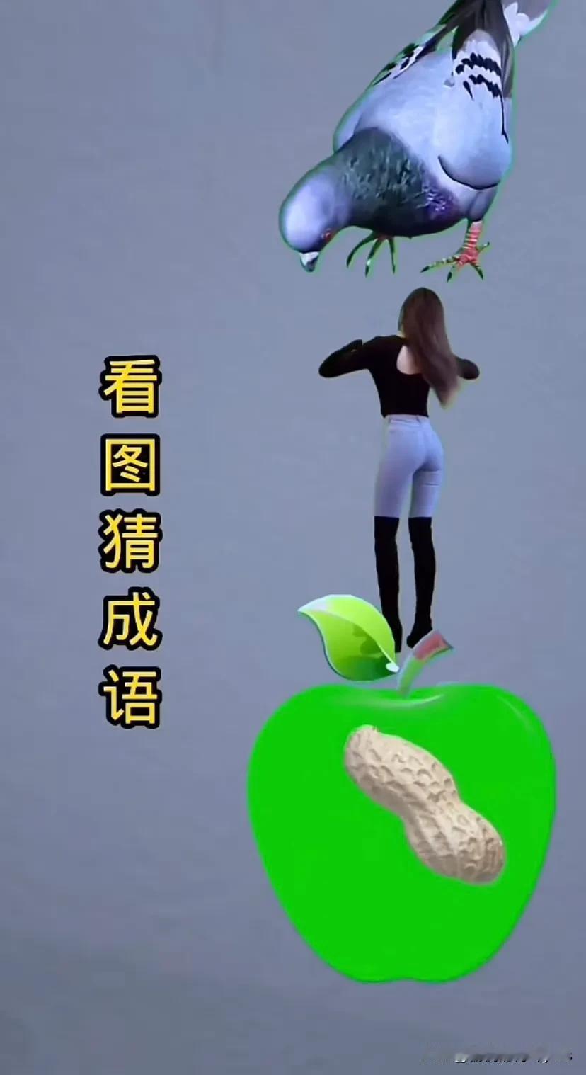 一个鸽子
一个美女
一个苹果
一个花生