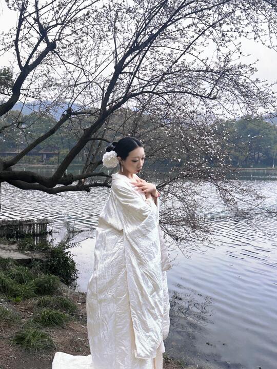 杏花疏影
