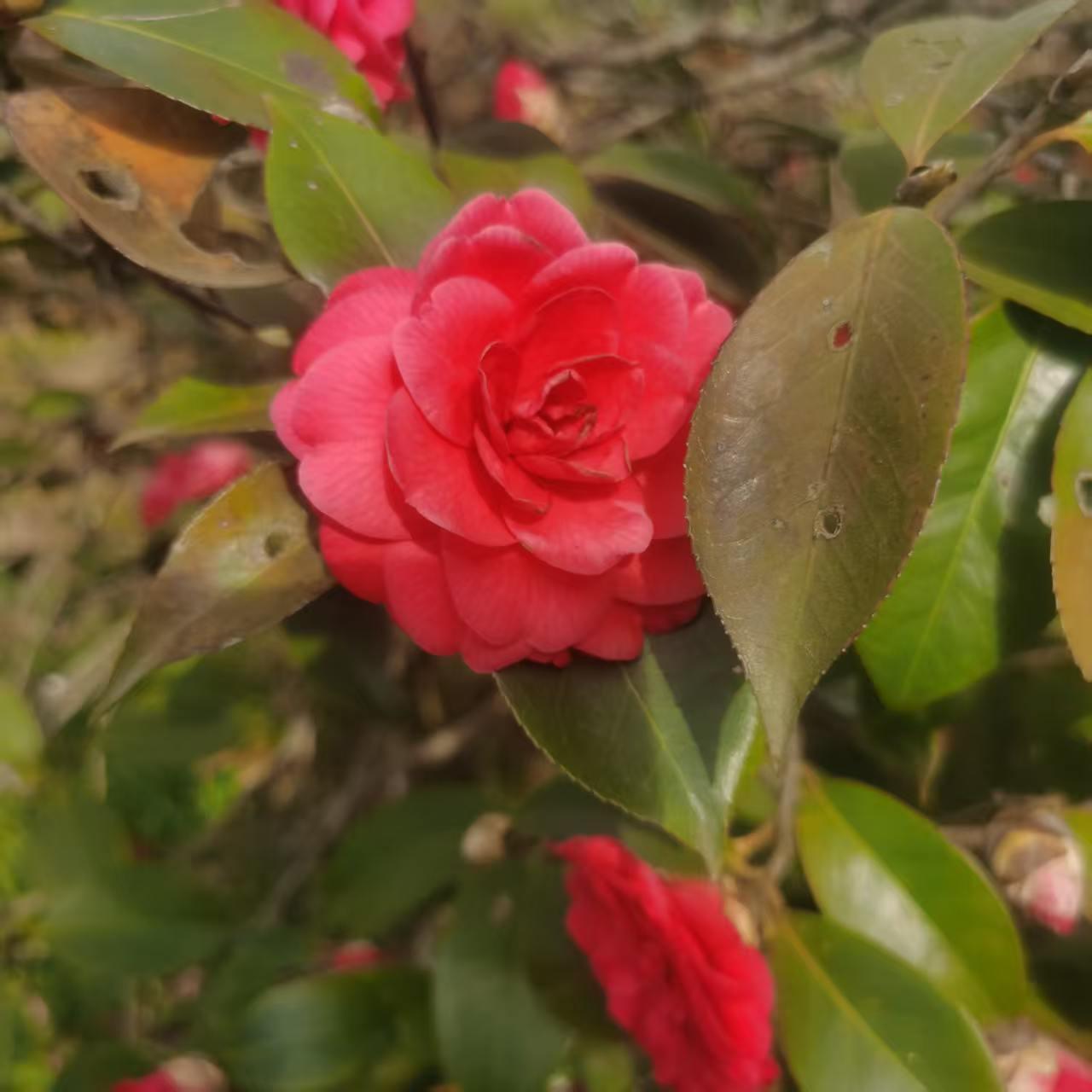 原来，聊天的随意，直接反映着人与人之间亲近的程度。

近段时间来，一直是姐姐在给