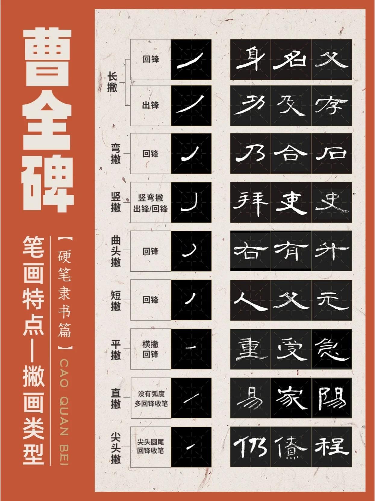 总结💖曹全碑撇画类别💖硬笔隶书技巧#练字 #书法