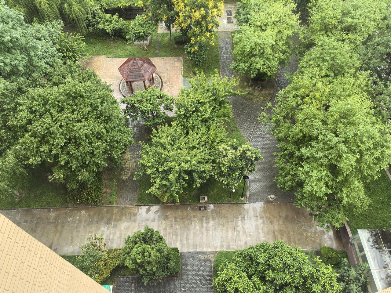 好雨知时节，当秋乃发生

[玫瑰][心][玫瑰]

这场秋雨真的太让人惊喜了！虽