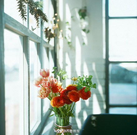 #早安# 生活或许总有遗憾，但未来依旧美好