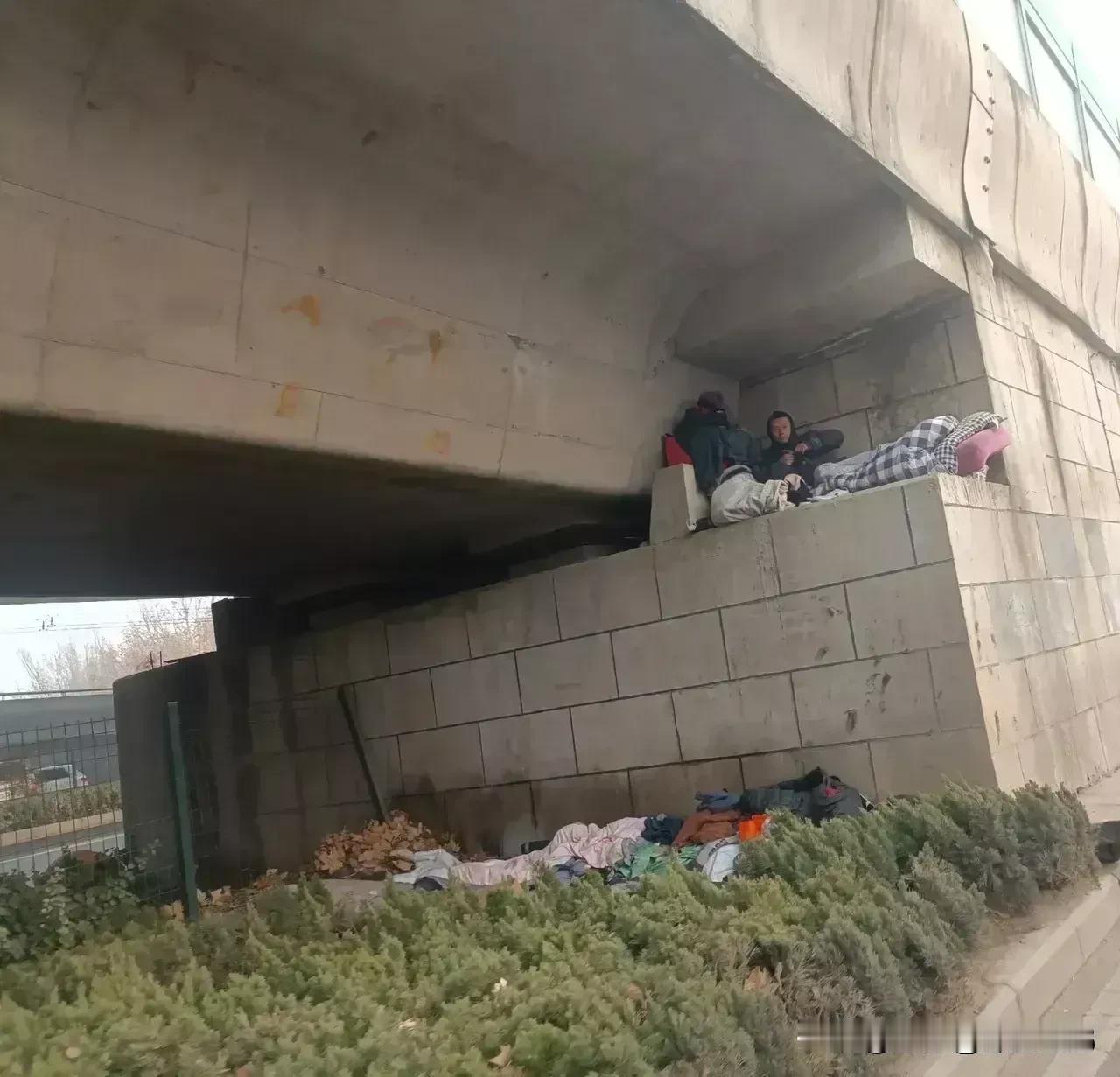 他们为什么不住宾馆？或者买套房，我也想不通，白然松也想不通，几十万的存款放着，睡
