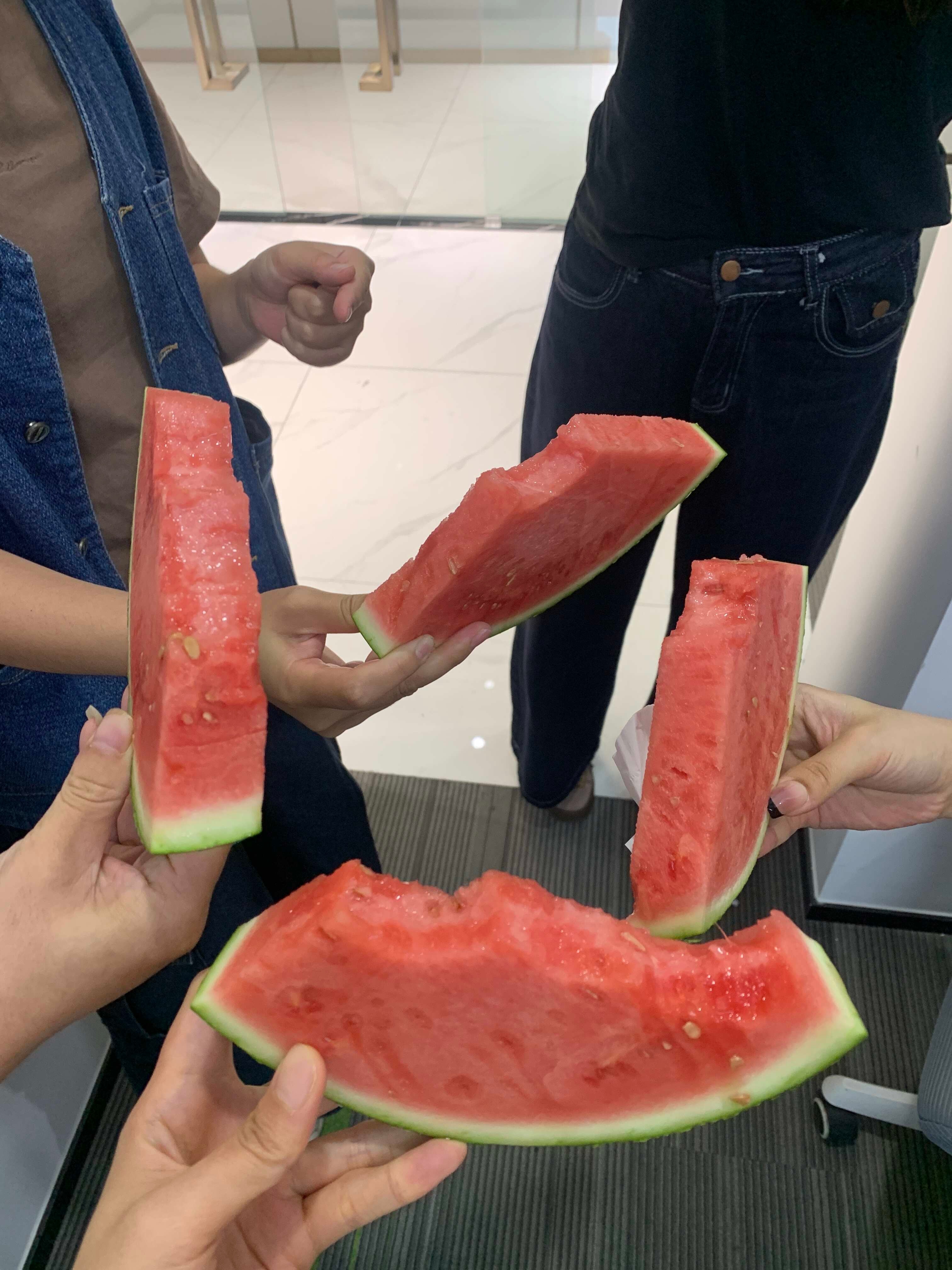 谁懂老板谈完业务回公司还带西瓜给我们吃哈哈哈哈哈哈哈老板谈业务养我们这群“废物”
