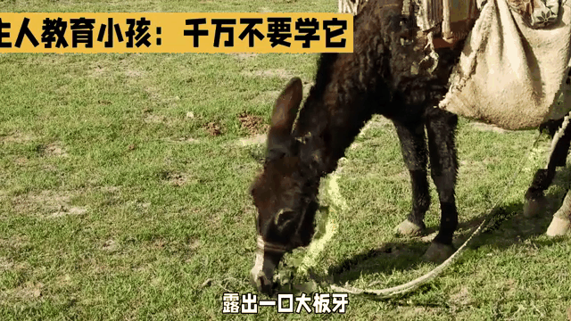 又当又立🫏穿成那样何必又是挡、又是拽、又是拉的