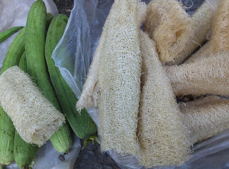 2025 年就快结束啦，回想这一年，遗憾还真不少。有人像我一样，没喝上妈妈煮的丝