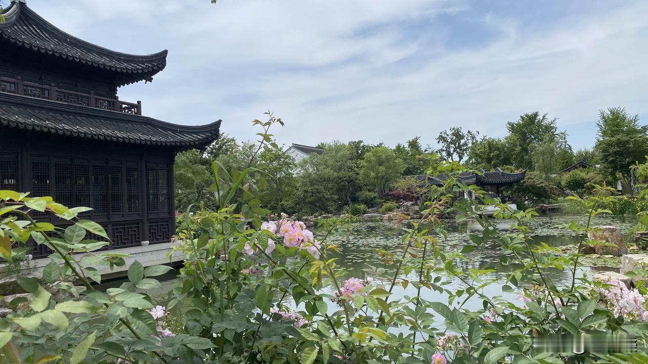 如果要看水中的东方斜塔，来虎丘北后山的一榭园，园中4000平方米的水池，云岩寺塔