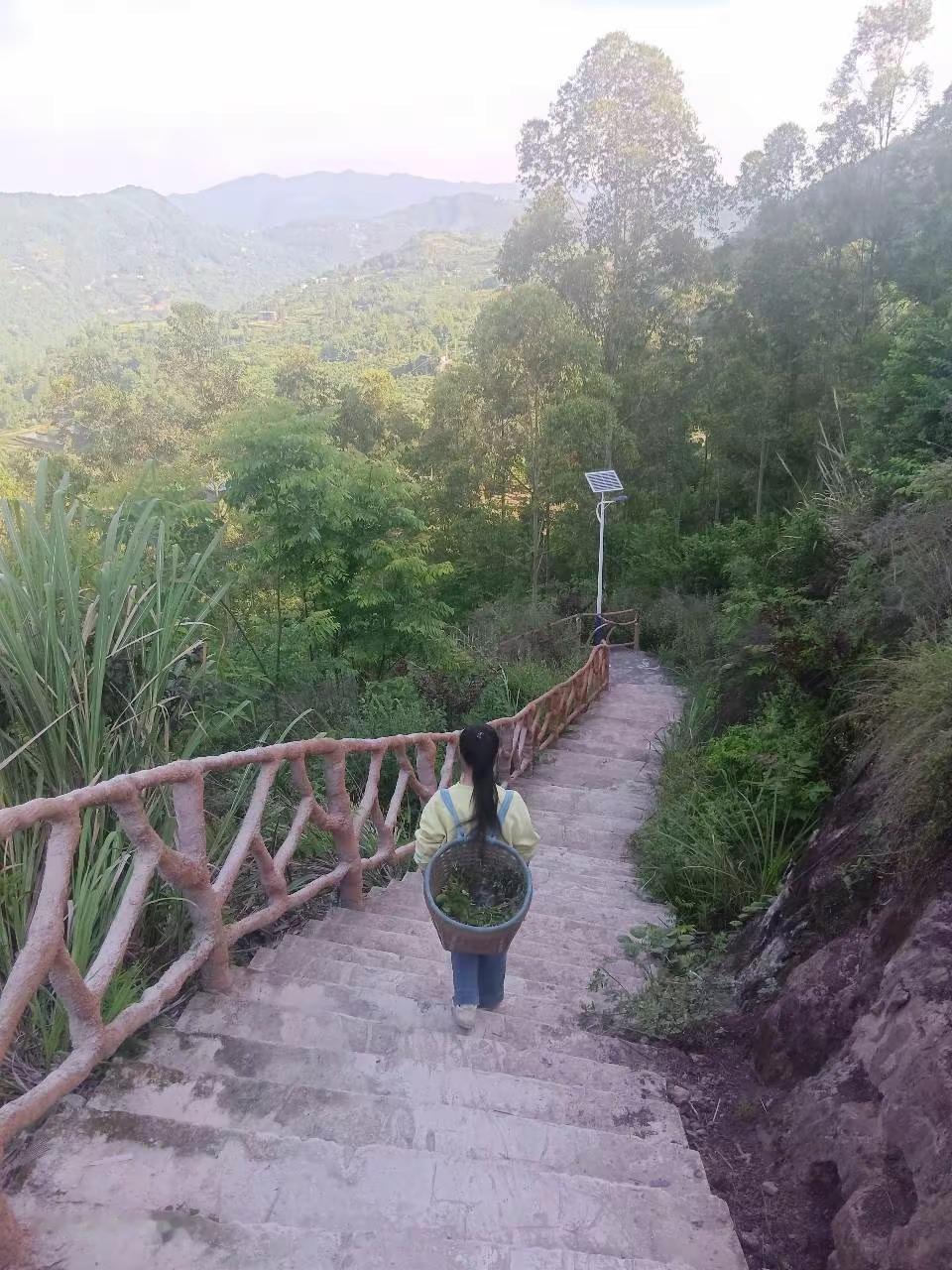 好像走错很多路，弥补不了