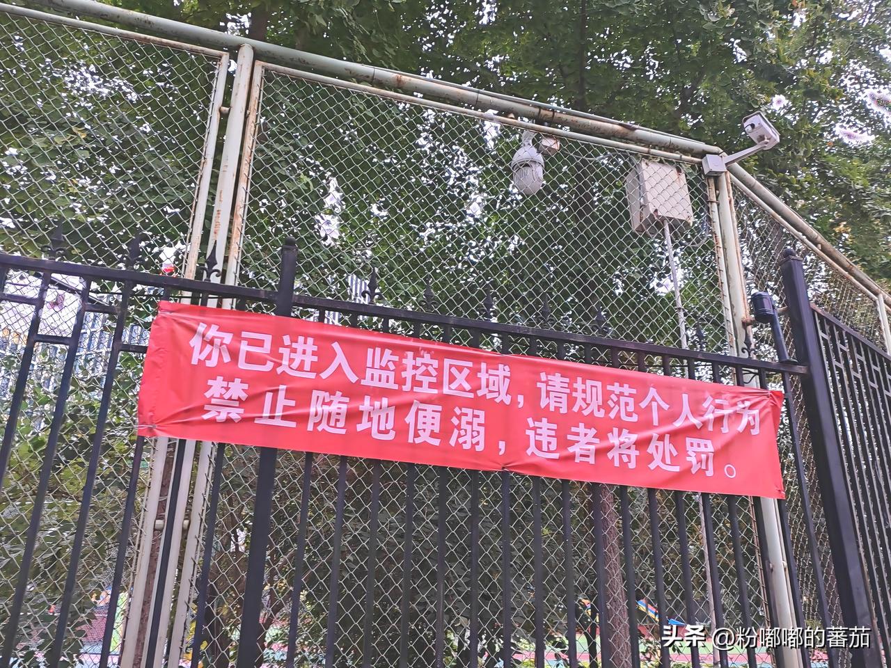 一条横幅，戳破北京公厕“偏科”

路过北京一所学校，门口挂着横幅：“禁止随地便溺