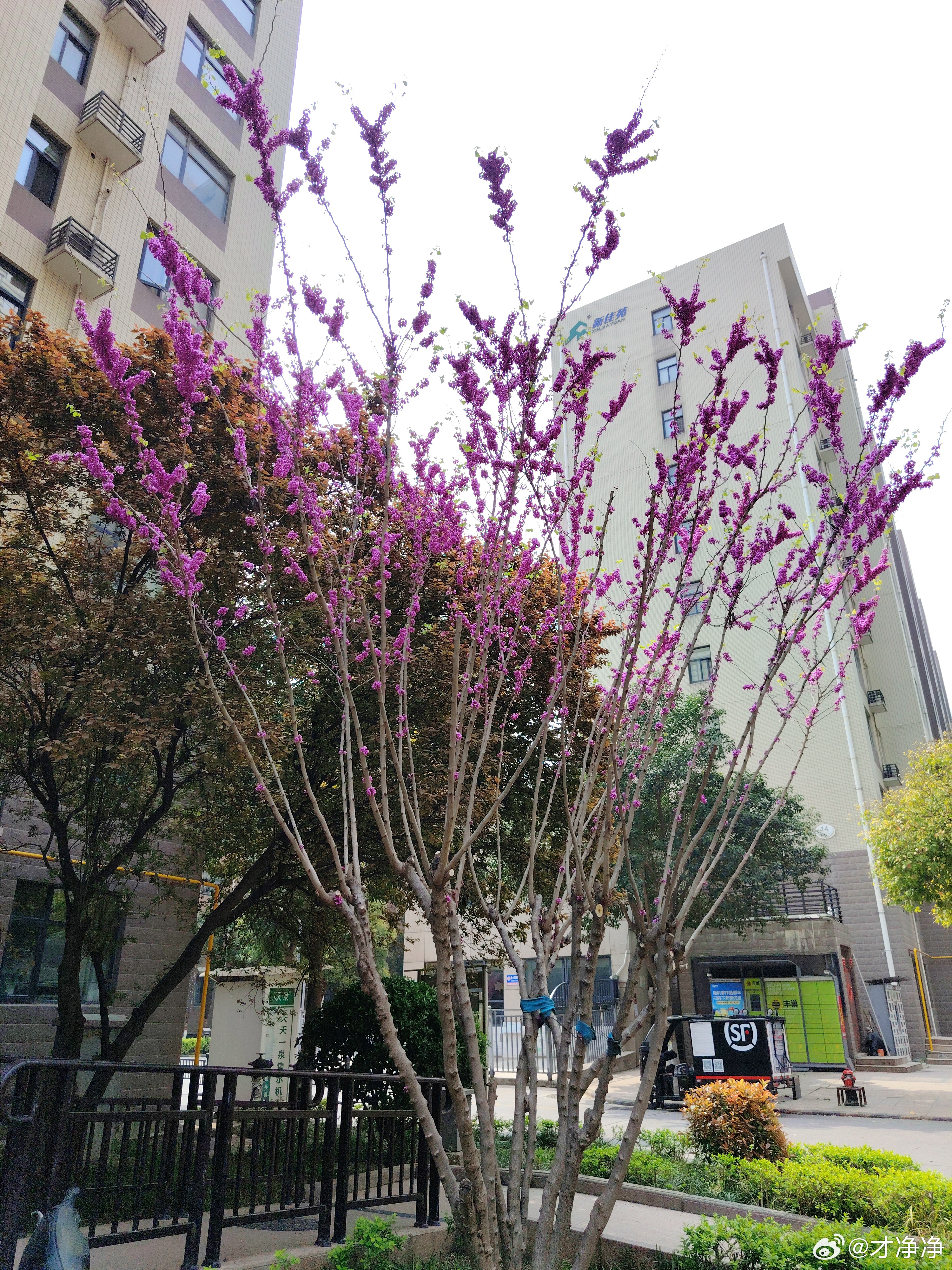 信任不能带来安全感，但是不信任一定会带来反感和防备。 