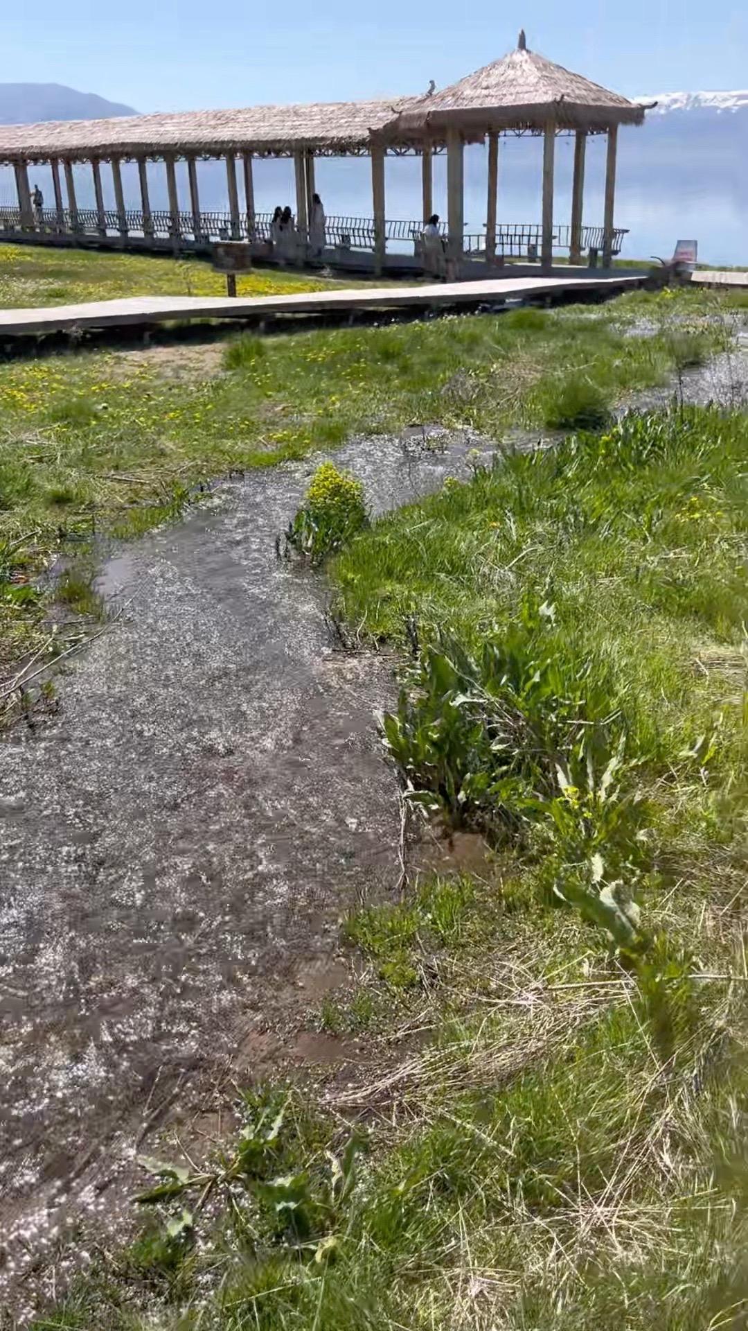 最体面的报复 是切割出原来的圈子 让他们连你的尾灯都看不见  人生怒海...