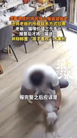 河南洛阳，一住客退房时，竟然将民宿的小猫装进袋子偷走，不料民宿老板联系对方，却发