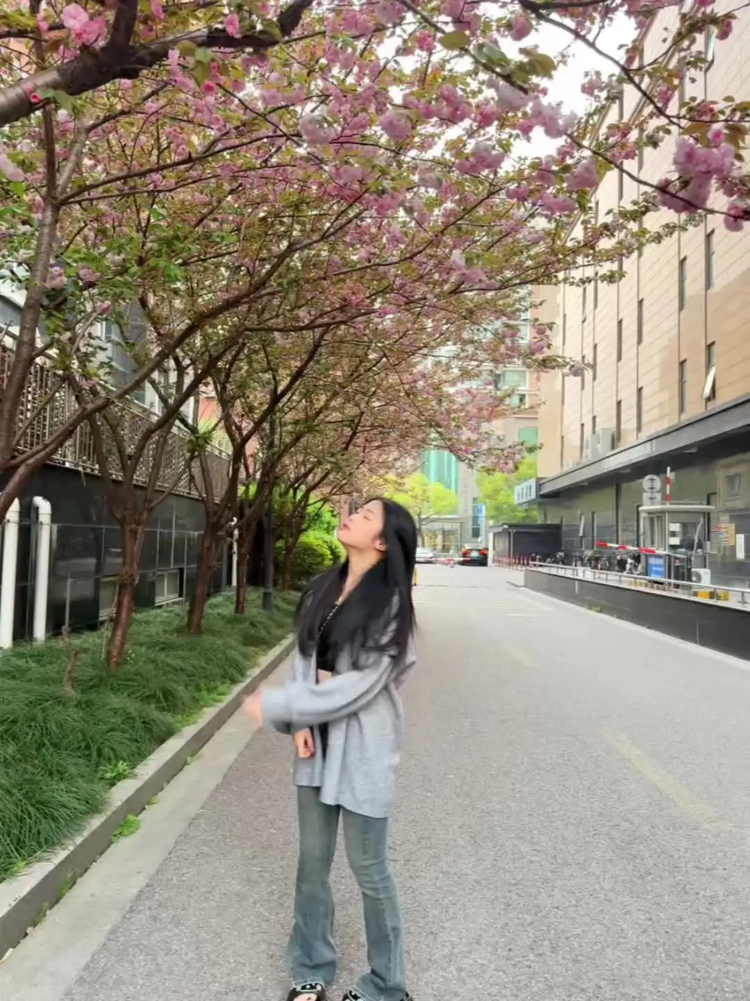 知我晦暗许我春朝