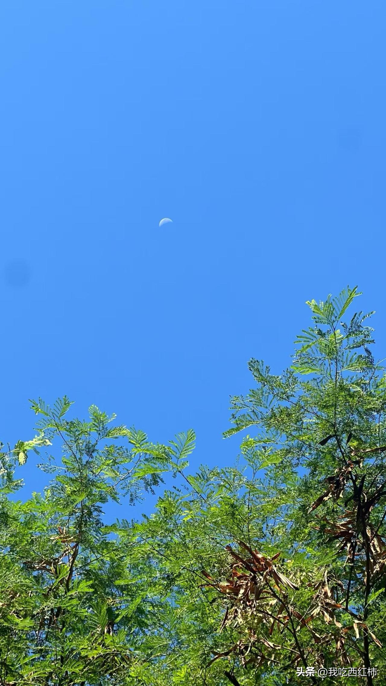 有孩子之后的主要痛苦，来源于你失去了连续性时间。
	
这应该是刚生娃母亲最深的体