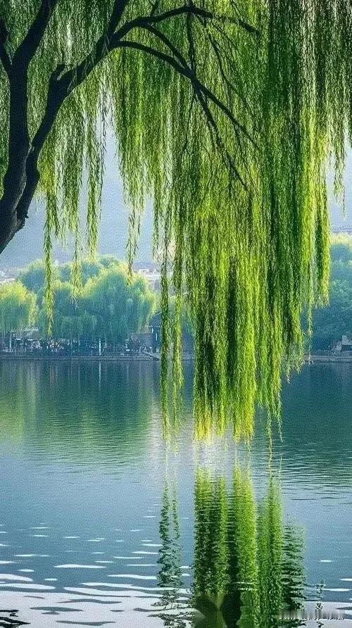 临江仙《不语春风》
 
春自无言温寰宇，
花开不语香绵。
清风漫过旧庭前。
流年