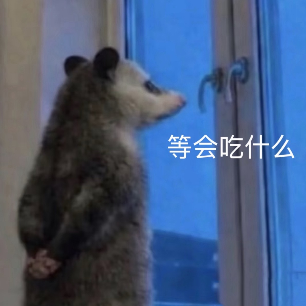 贝贝们今天吃什么 可以参考不
