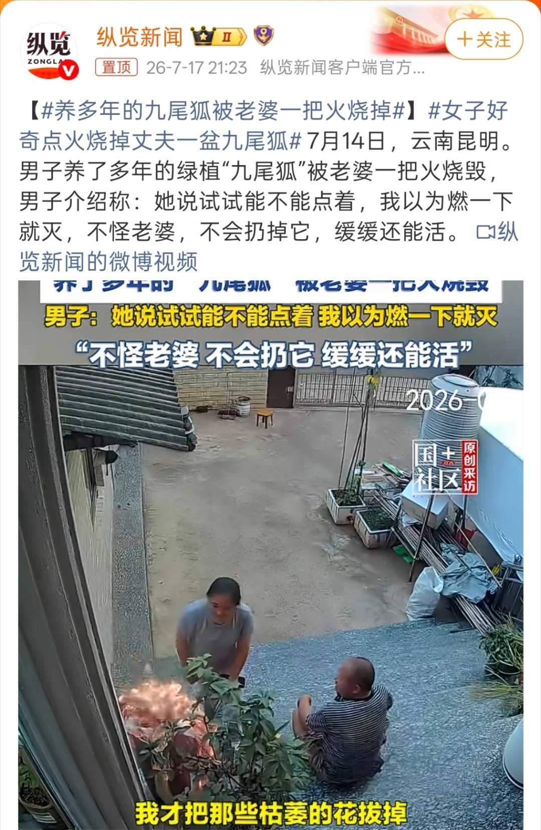 养多年的九尾狐被老婆一把火烧掉只能说夫妻两个都是神人，最倒霉的就是那盆九尾狐。 