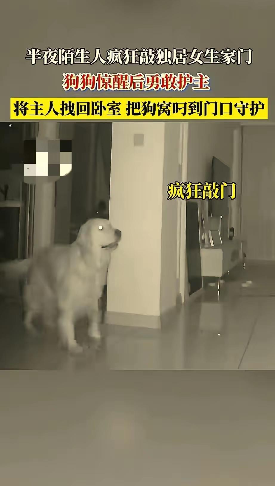 “太勇敢了！”吉林，一位独居女子，午夜的寂静被突如其来的急促砸门声打破。她心跳加