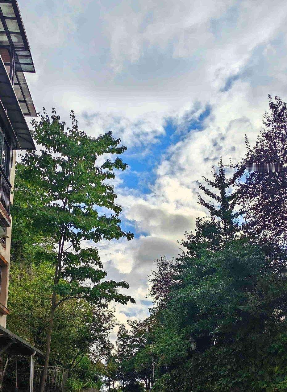 我们在仙女镇住的这个地方海拔大概有1200米，到这里后发现小零食全部都鼓得圆滚滚