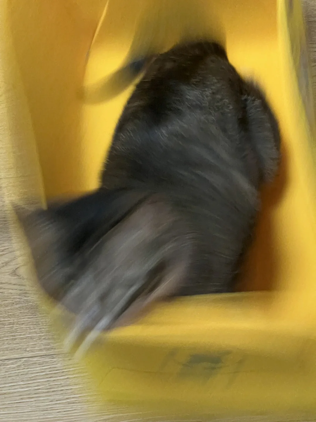 宝占据每一个收纳箱