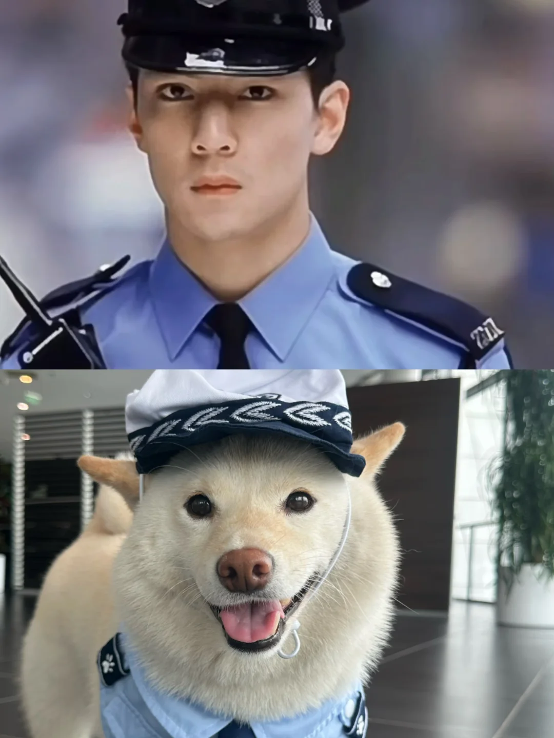 友情提示：上面才是吴彦祖👆