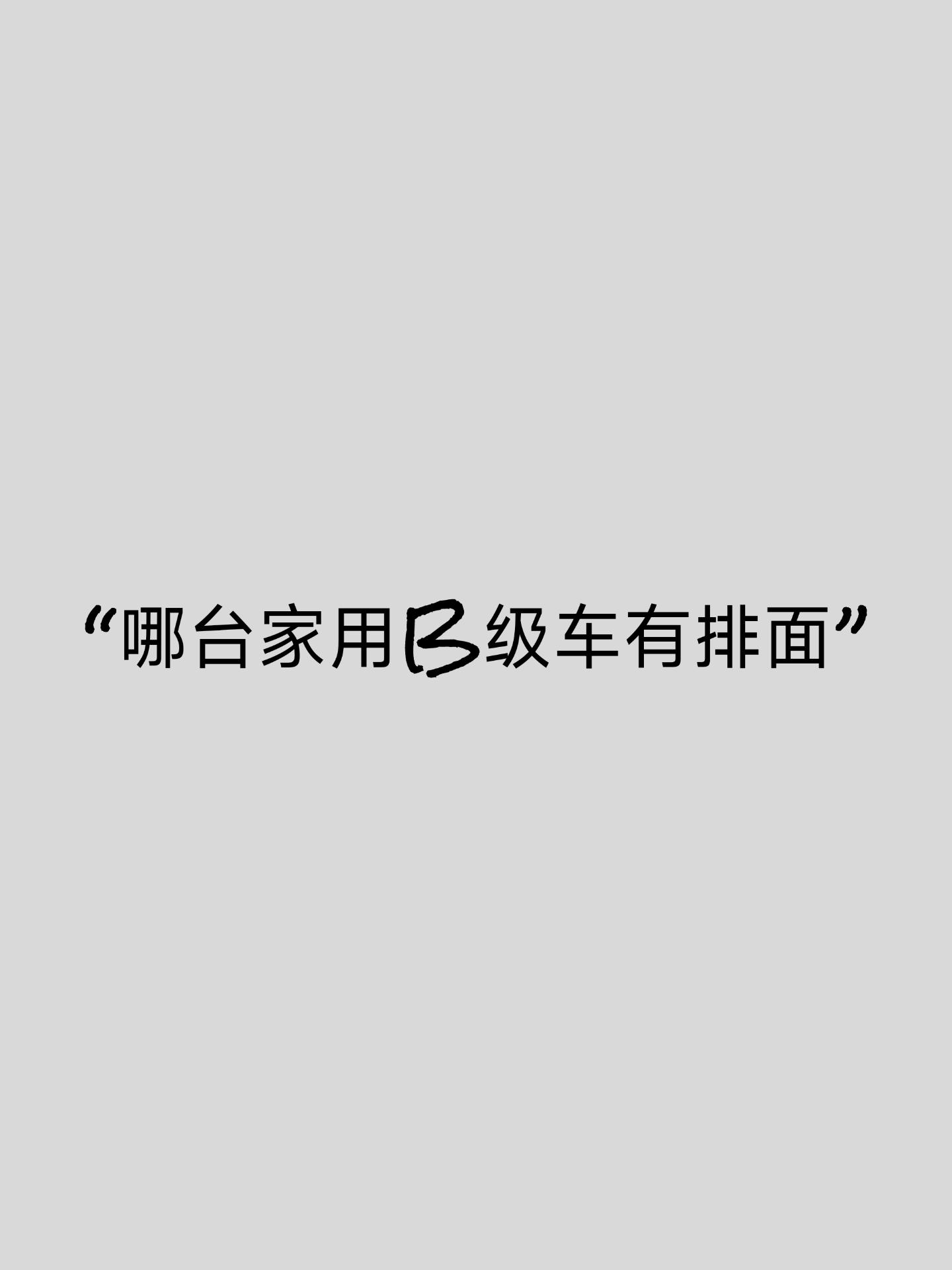 哪台平民品牌B级车家用最有牌面。