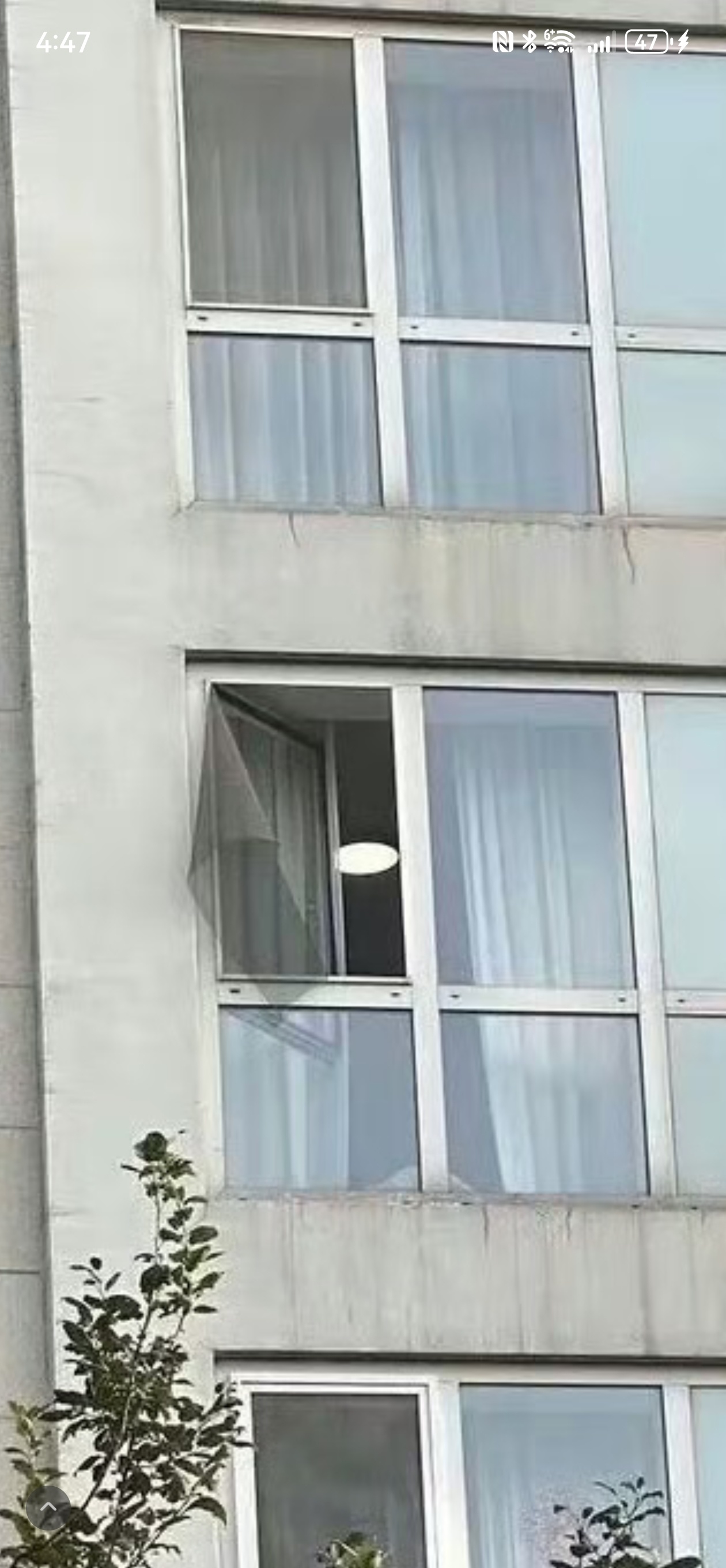 于朦胧看这个纱窗…我觉得这件事儿疑点重重… ​​​